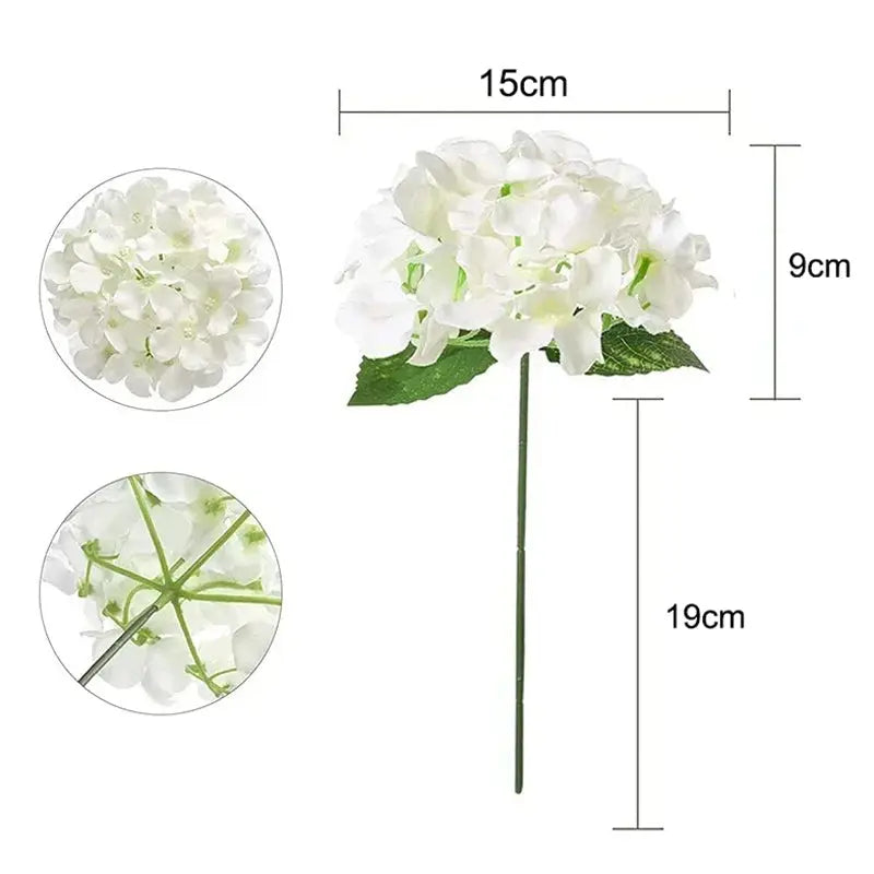 50 Hortensias Mariage