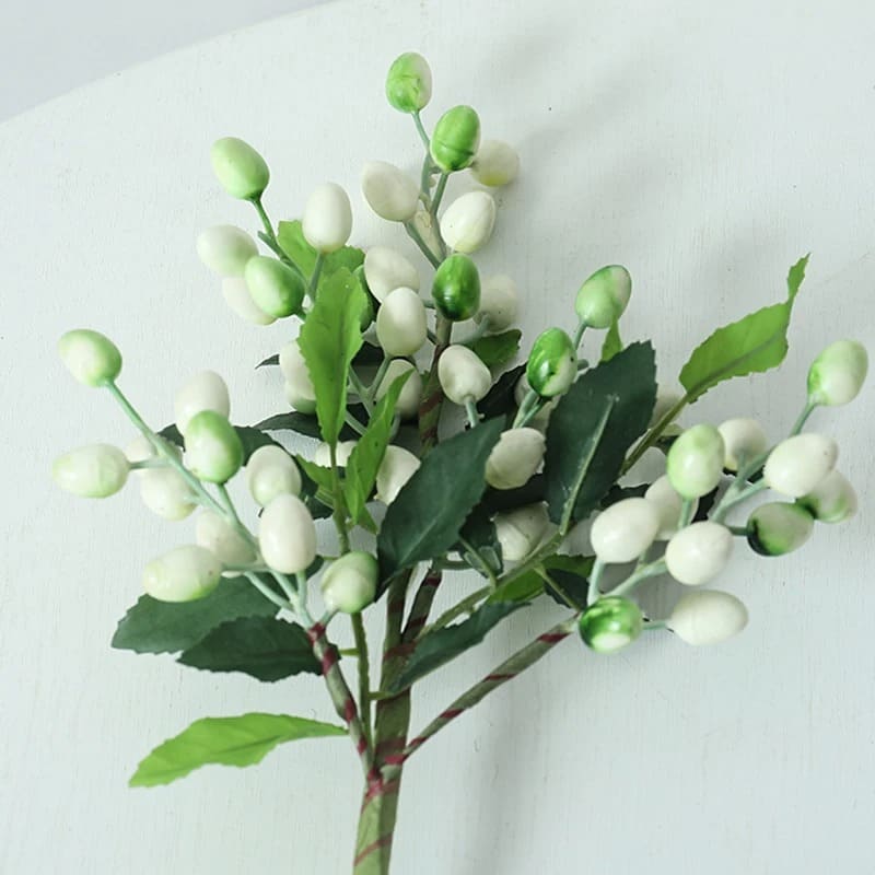 Baie de Laurier Blanc