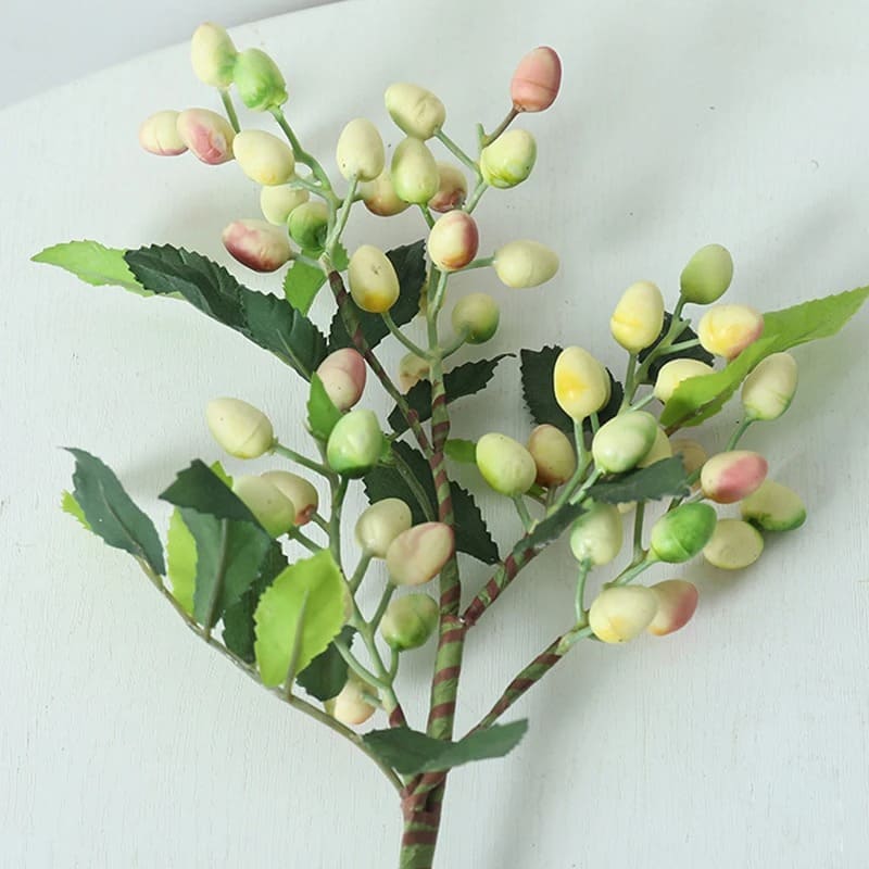 Baie de Laurier Vert Clair