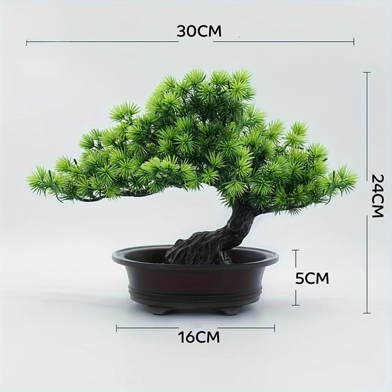 Bonsaï Pin Artificiel Dimension
