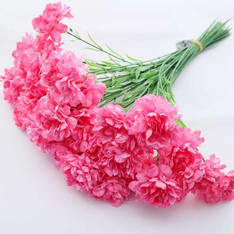 Bouquet Fleur Carnation