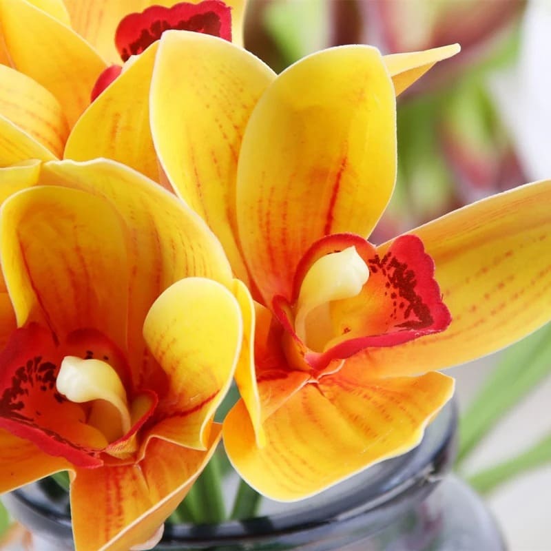 Bouquet d'Orchidées Papillon