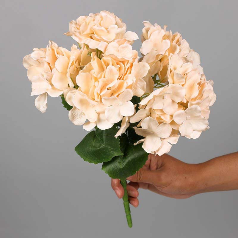 Bouquet d'Hortensia Champagne