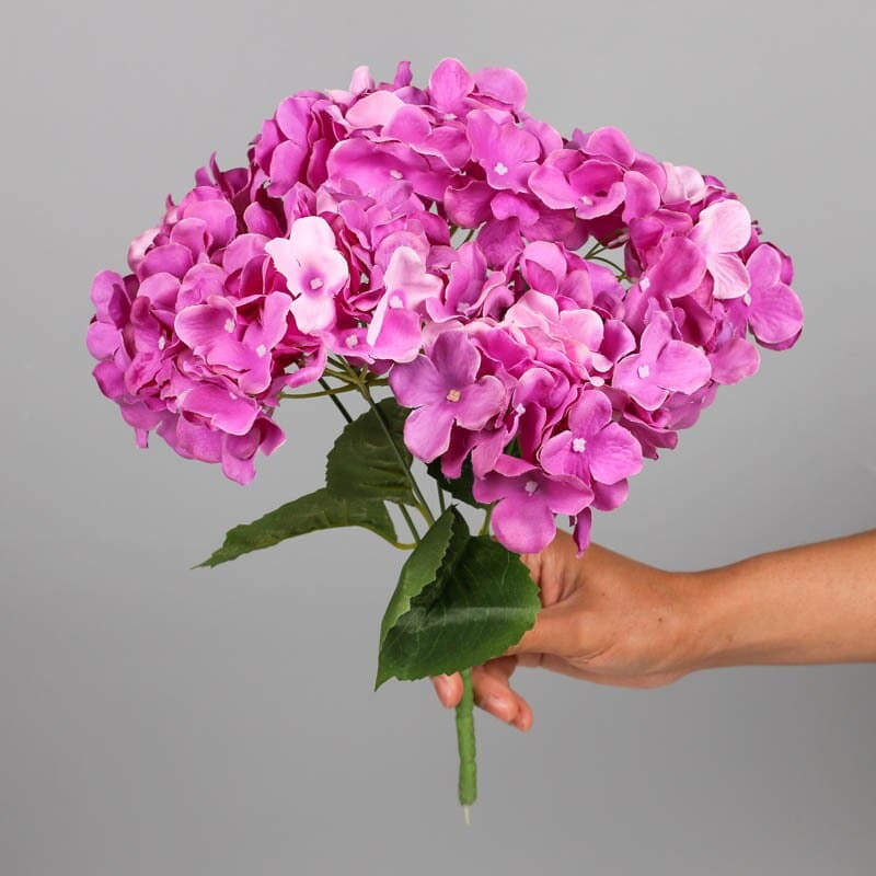 Bouquet d'Hortensia Fuschia