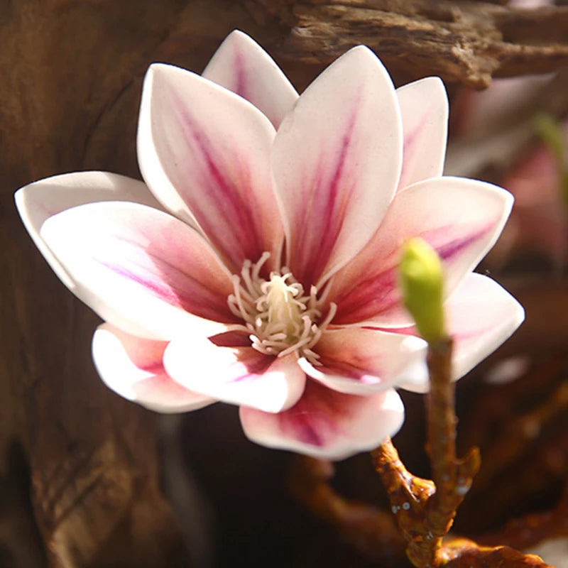 Branche Artificielle de Magnolia en Fleurs