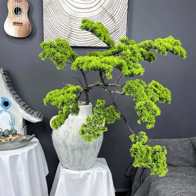 Branche Cyprès Intérieur