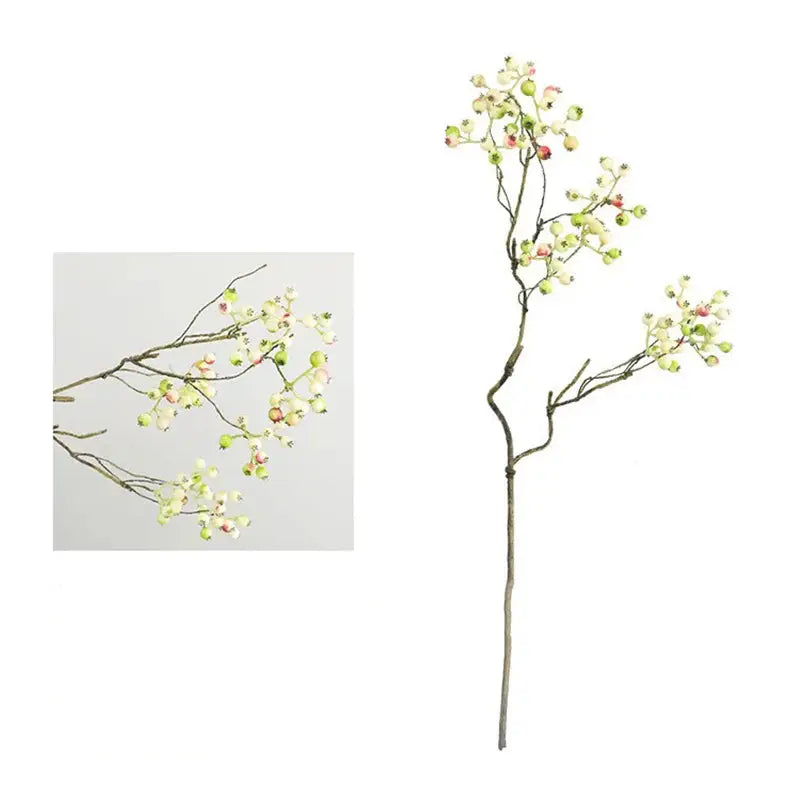 Branche de Canneberge