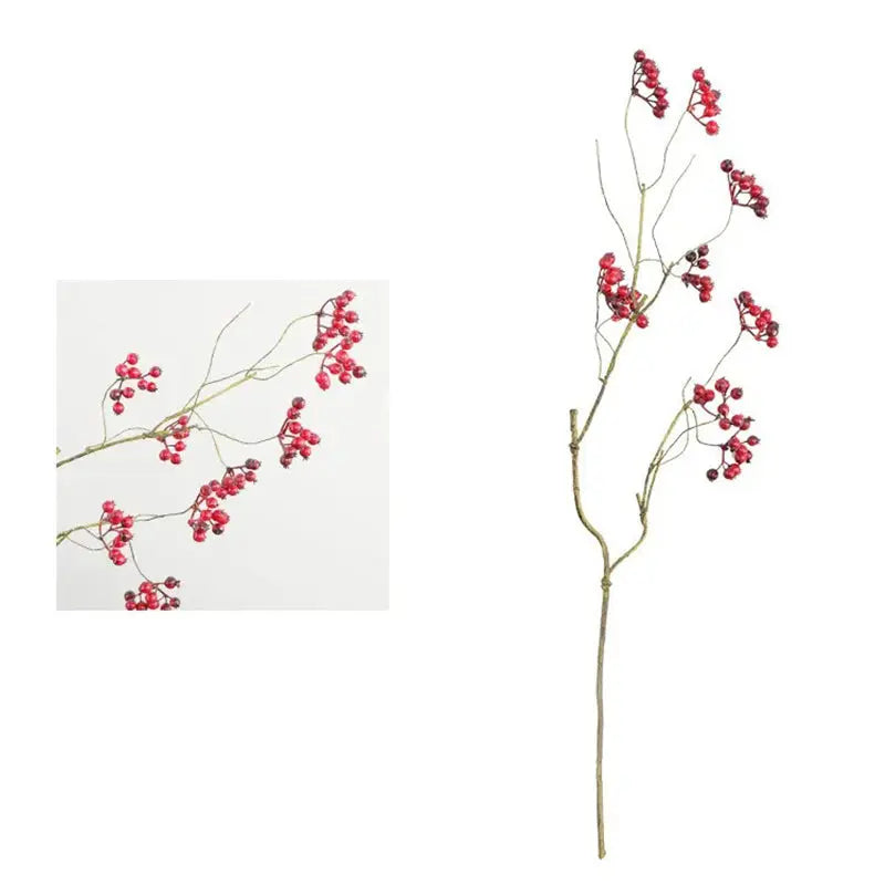 Branche de Canneberge