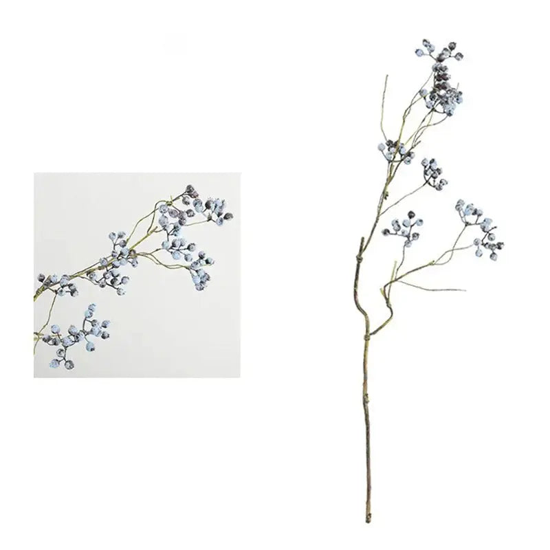 Branche de Canneberge