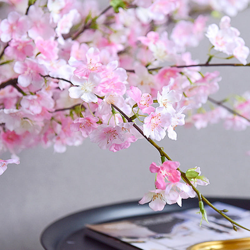 Branche de Cerisier Fleurs