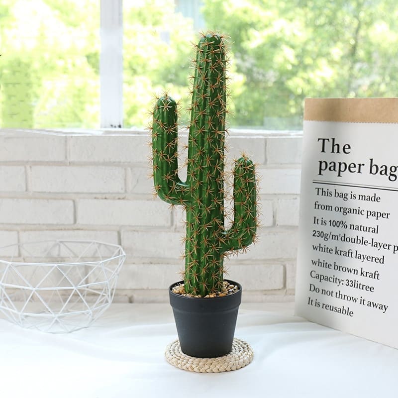 Cactus Déco Intérieur Pot