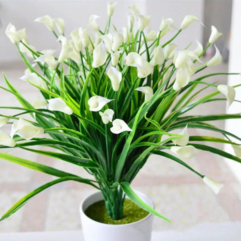 Callas Artificiels Fleurs