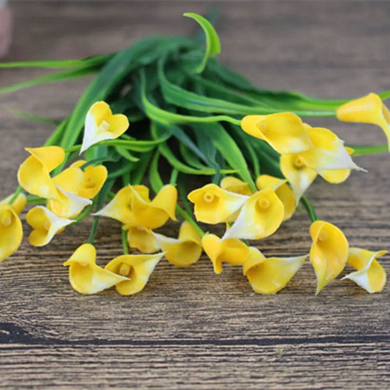 Callas Artificiels Jaune