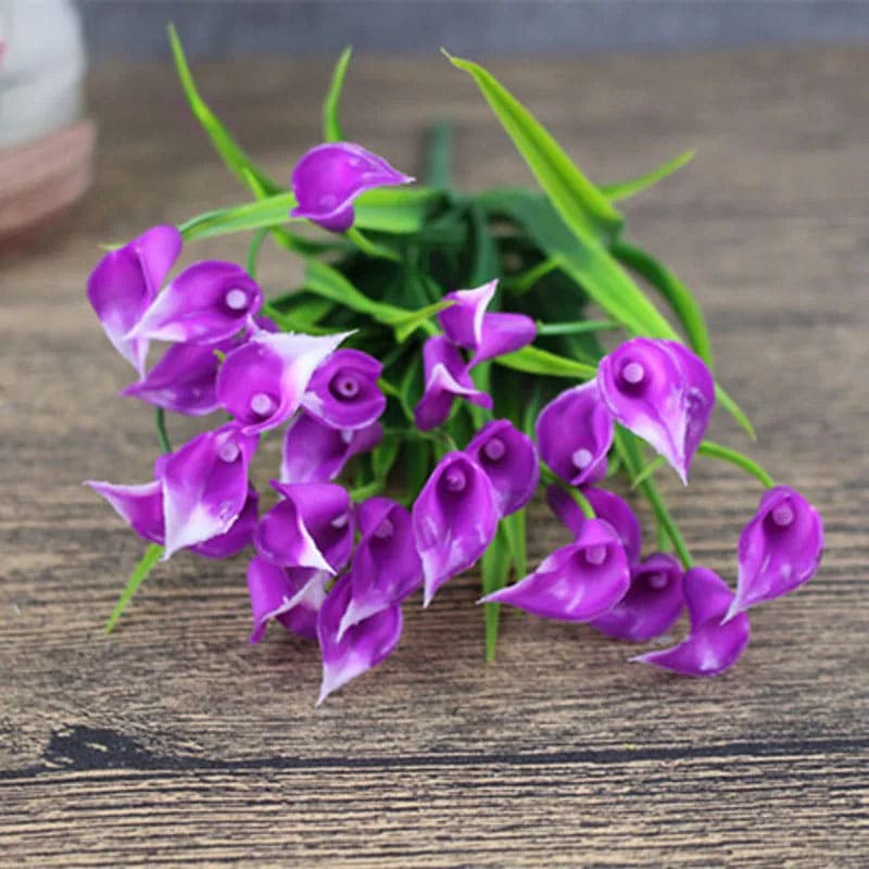 Callas Artificiels Mauve