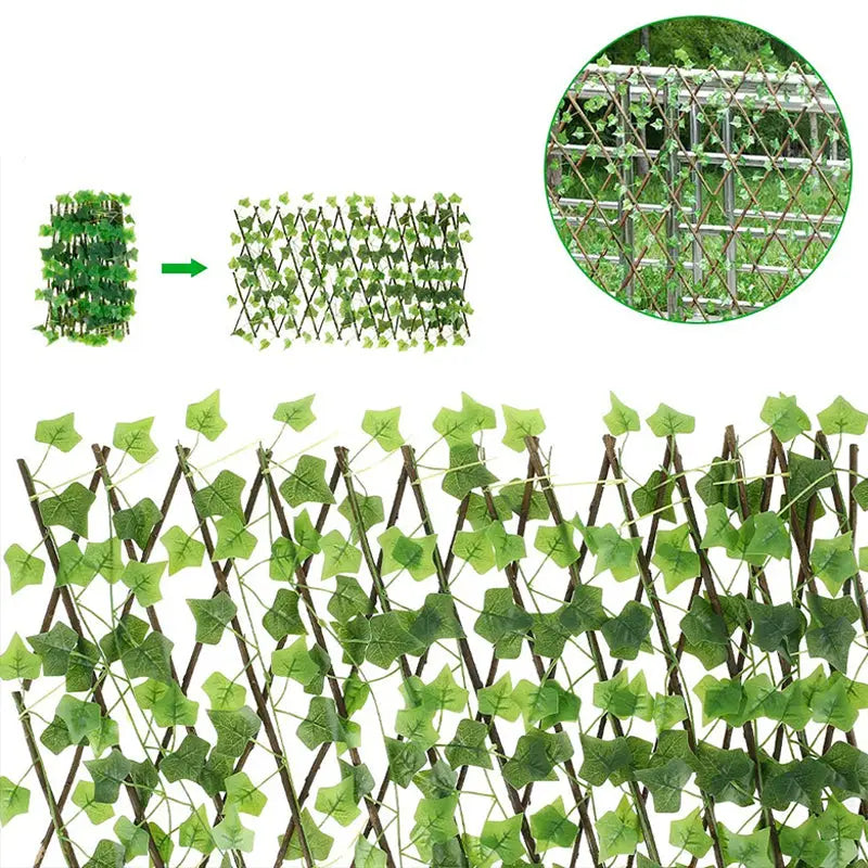 Clôture en Bois Vigne