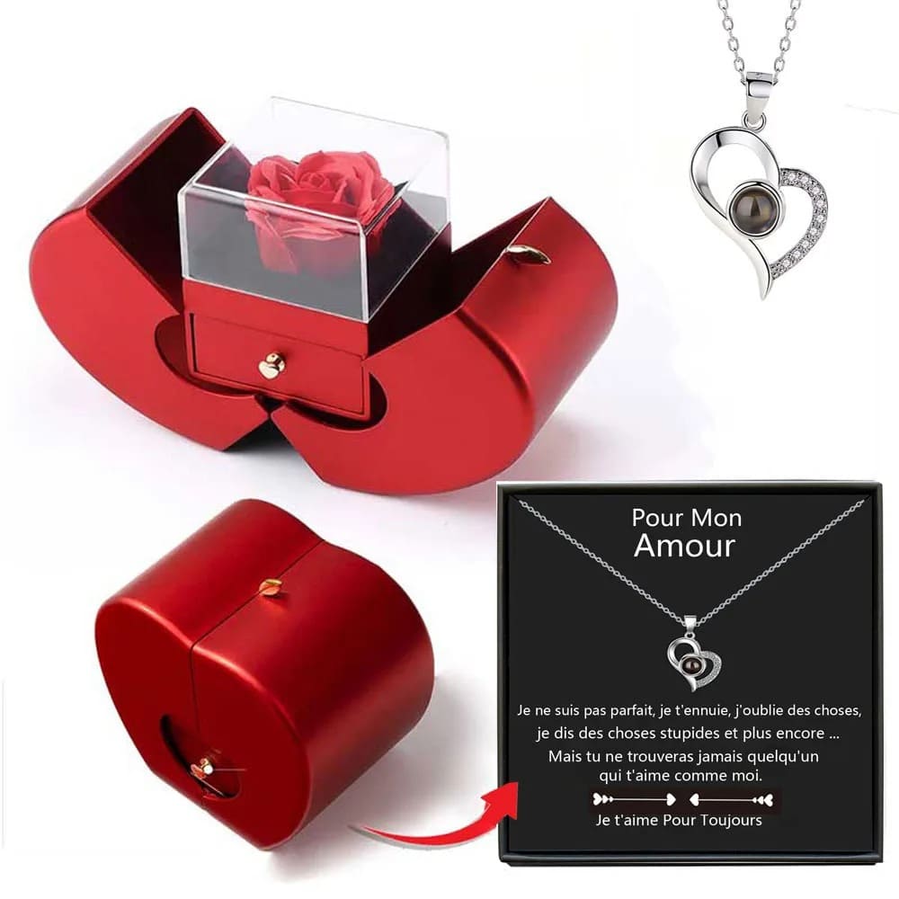Collier Je T'aime en 100 Langues Coeur Argent