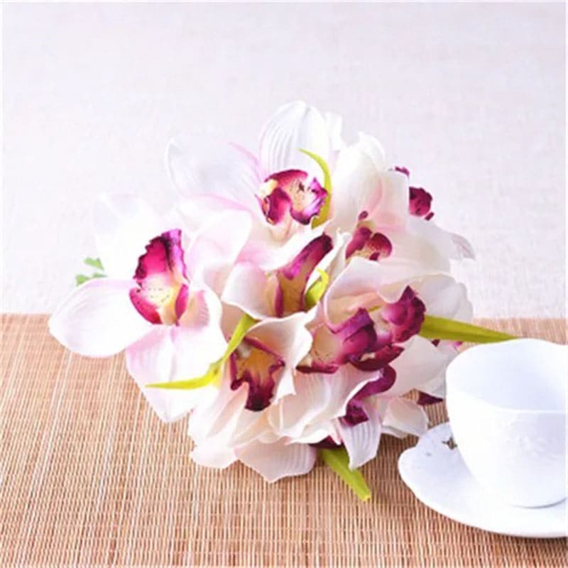 Cymbidium Blanc et Violet