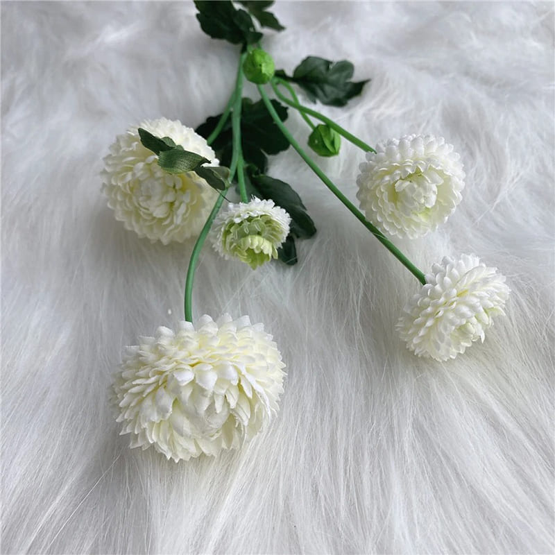 Dahlia Pompon Blanc