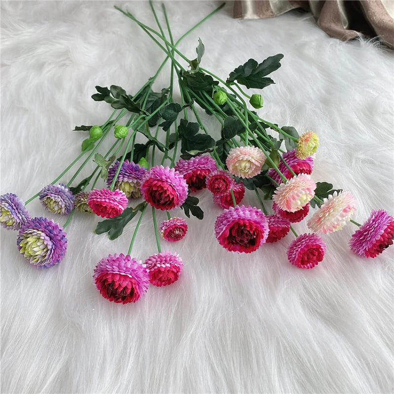 Dahlia Pompon Branche
