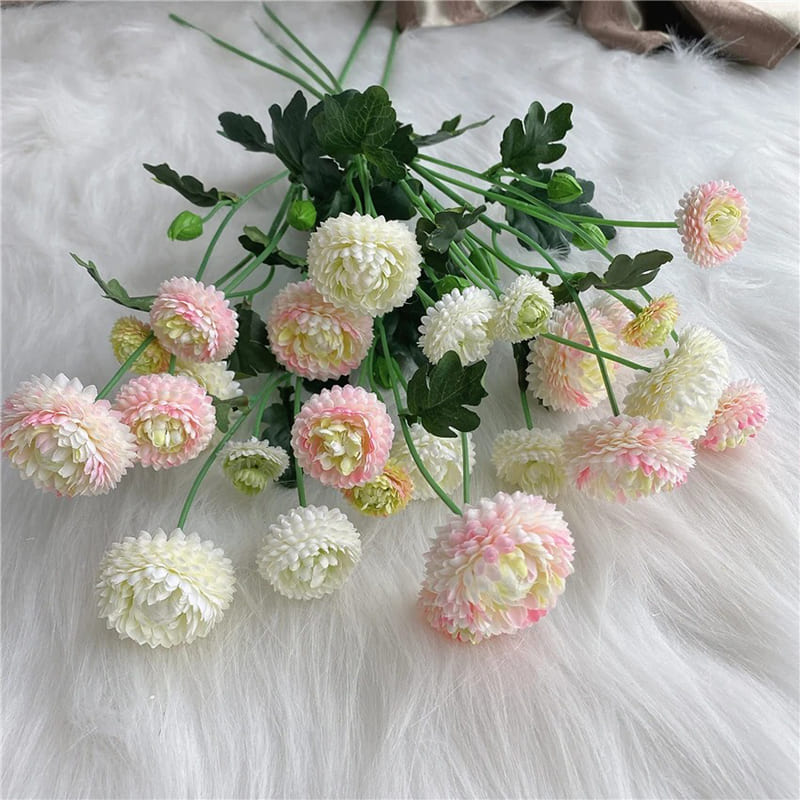Dahlia Pompon Fleur
