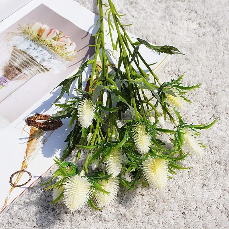 Eryngium Planum Blanc