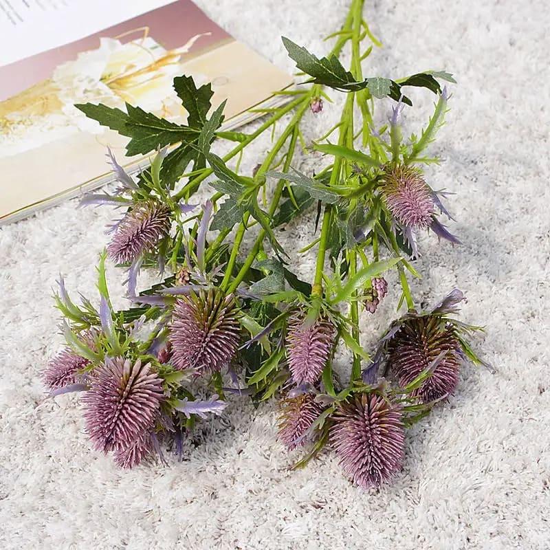Eryngium Planum Bordeaux