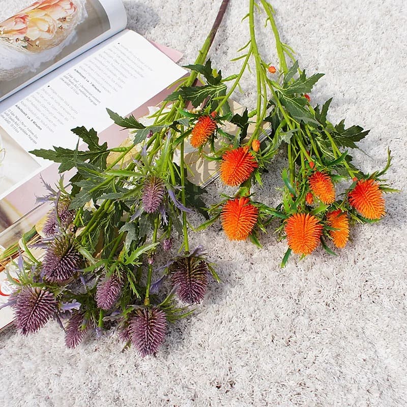 Eryngium Planum Intérieur