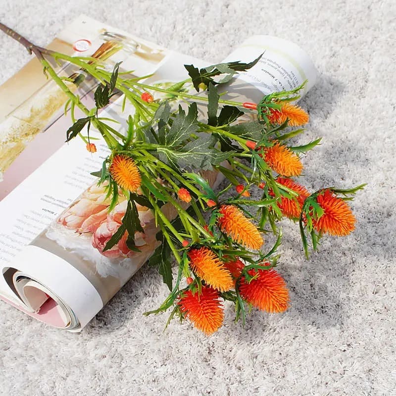 Eryngium Planum Orange