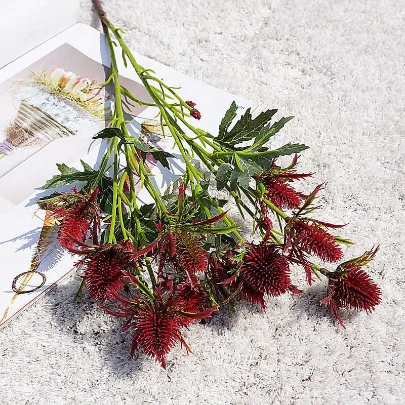 Eryngium Planum Rouge Foncé