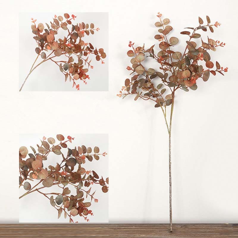 Eucalyptus Automne Orange