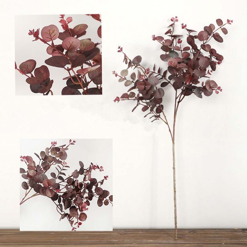 Eucalyptus Automne Violet