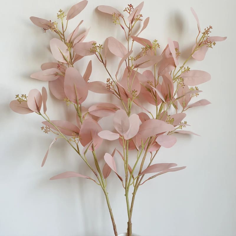 Eucalyptus Rose Feuilles