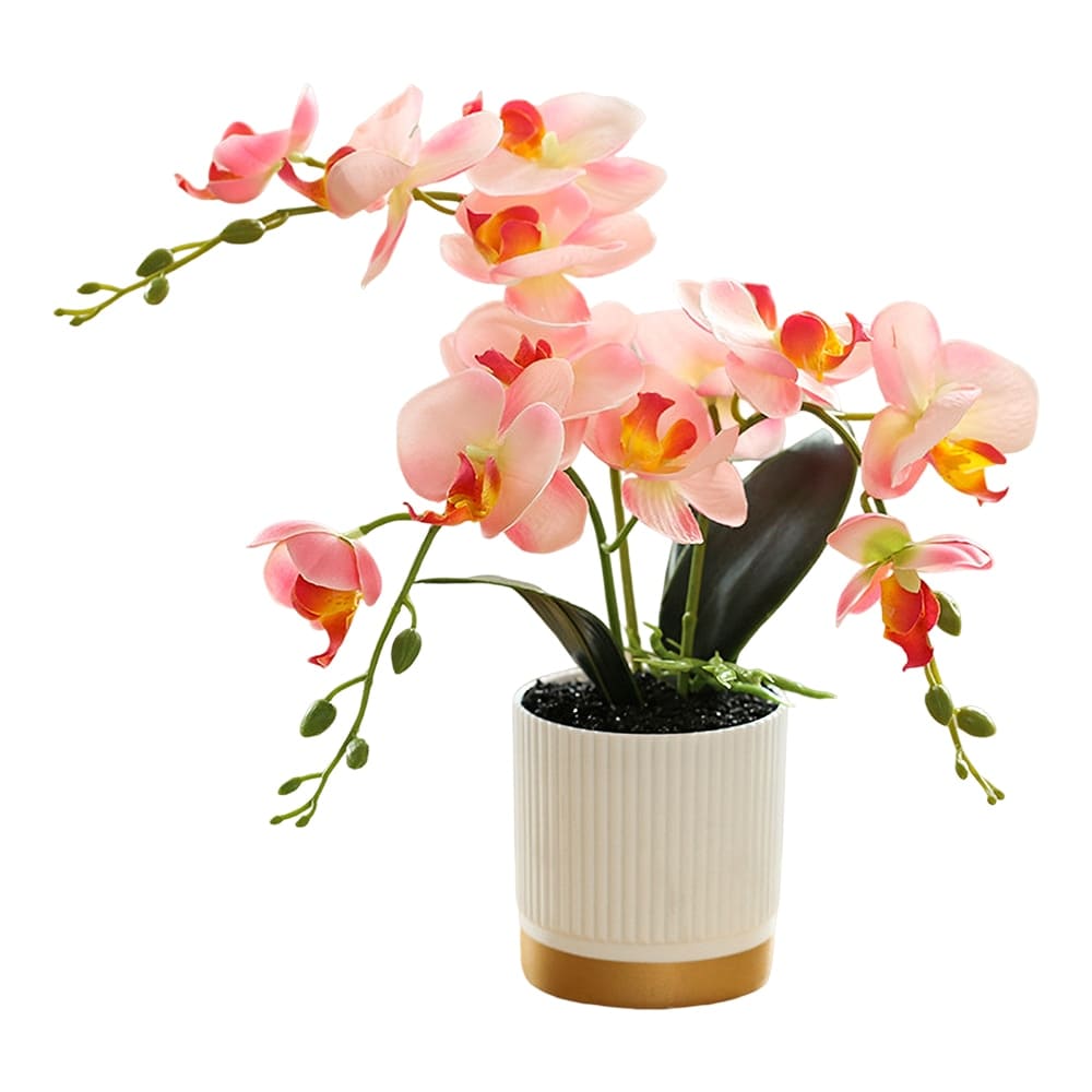 Fausse Orchidée Rose