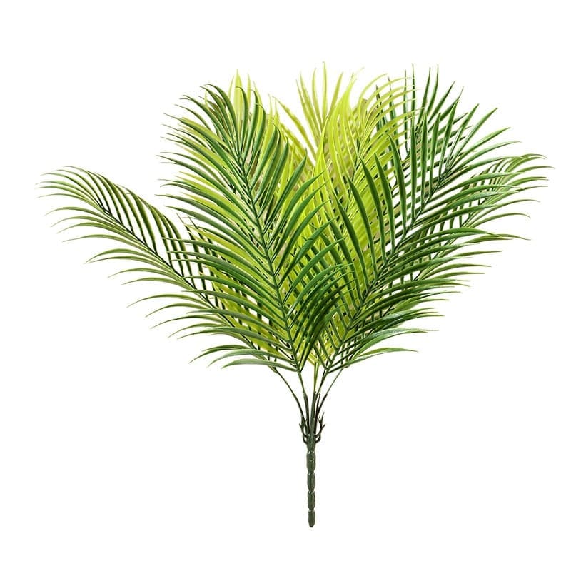 Fausse Palme de Palmier Vert