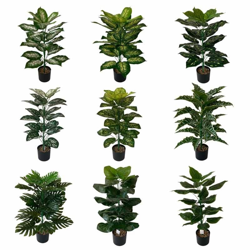 Fausse Plante Intérieur