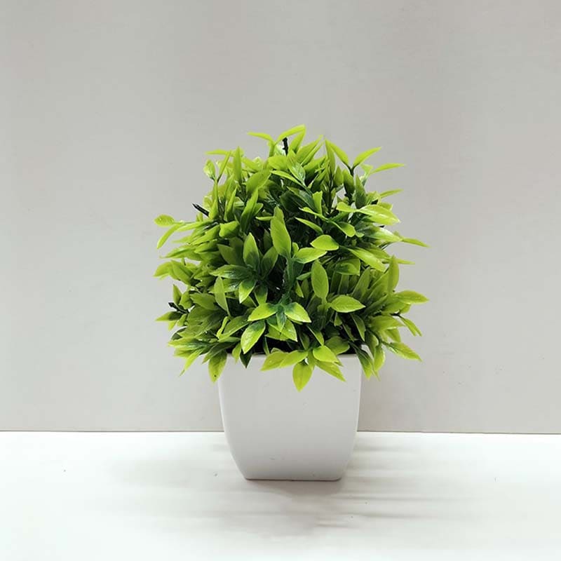 Fausse Plante Pas Cher Buisson