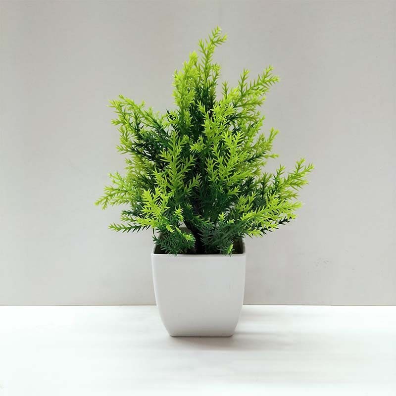 Fausse Plante Pas Cher Sapin