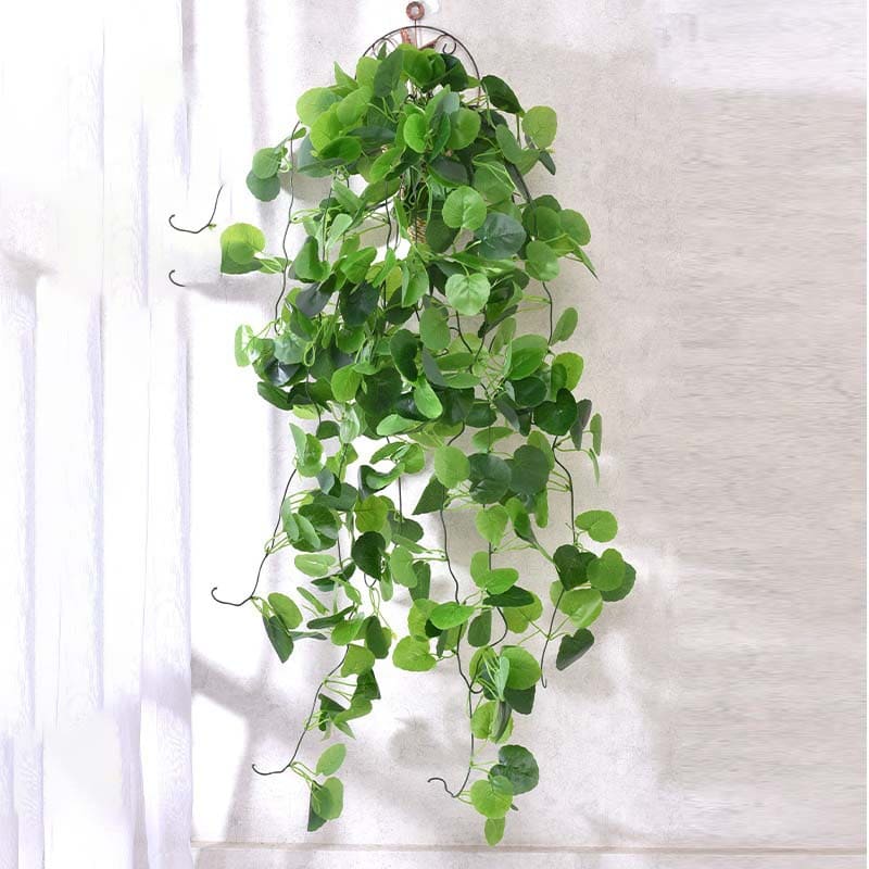Fausse Plante Tombante Cissus Rotundifolia
