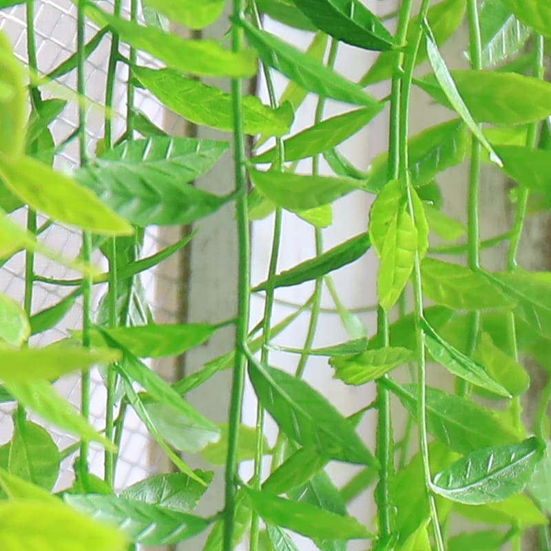 Fausse Plante Tombante Saule