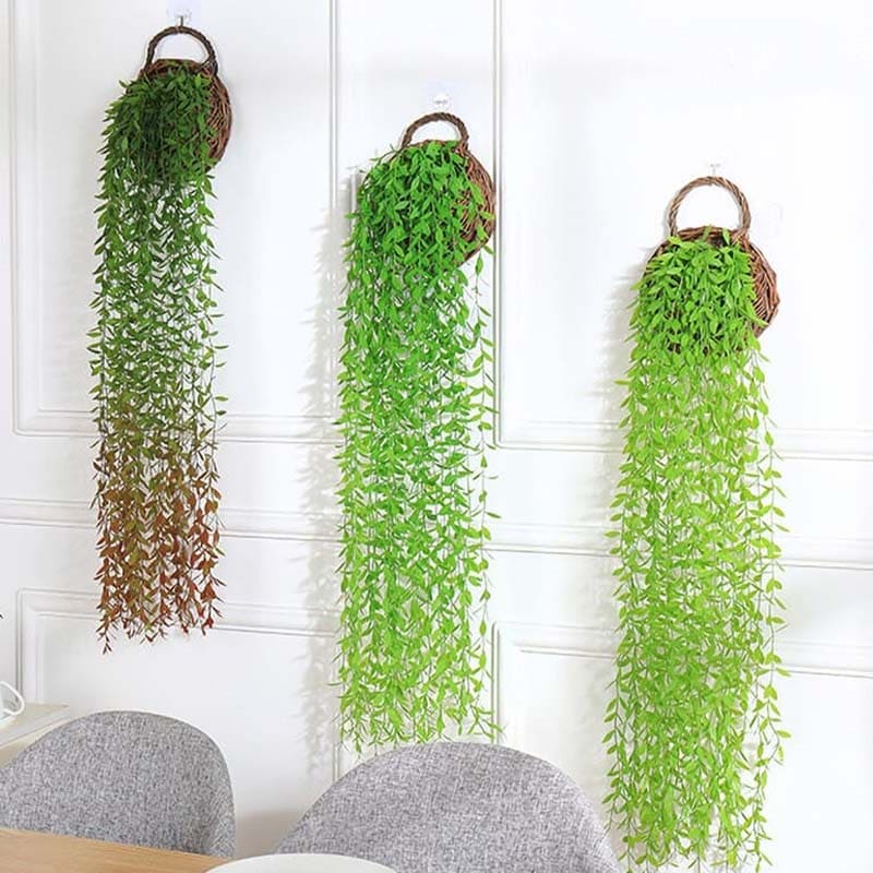 Fausse Plante Tombante Verte