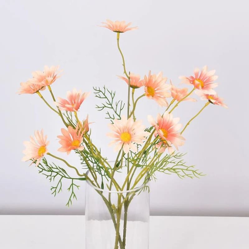 Fausses Marguerites Champagne