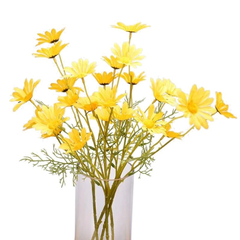 Fausses Marguerites Jaune