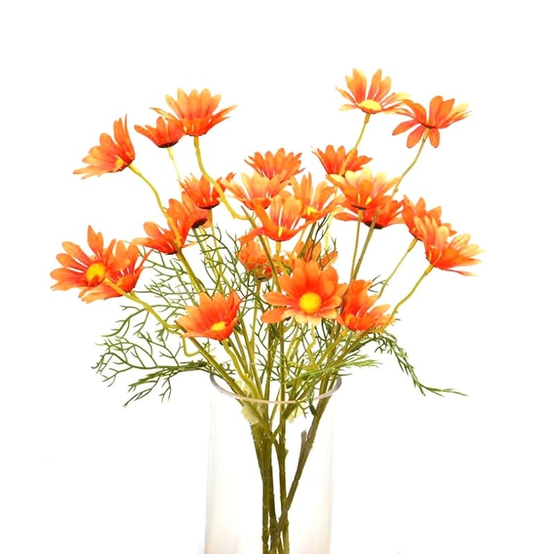 Fausses Marguerites Orange