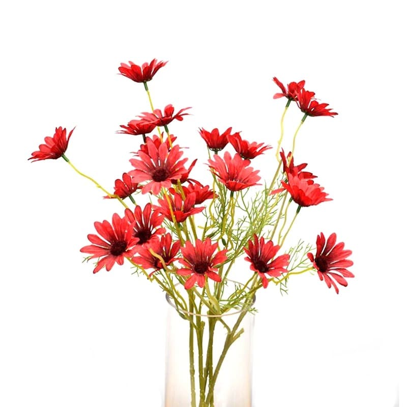Fausses Marguerites Rouge