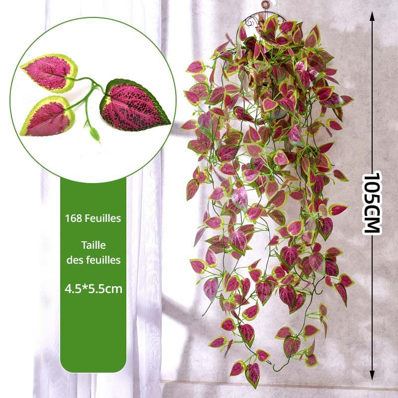 Fausses Plantes Retombantes Coleus