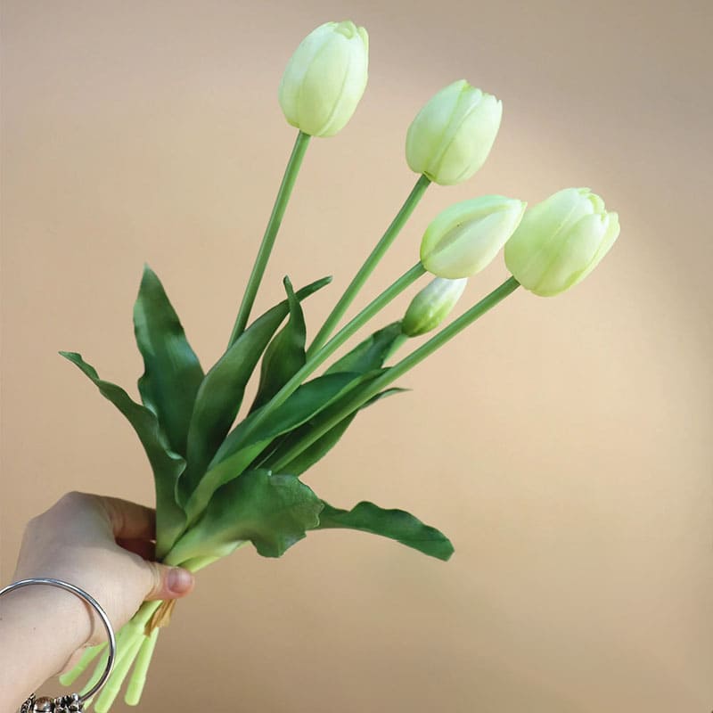 Fausses Tulipes Vert Clair