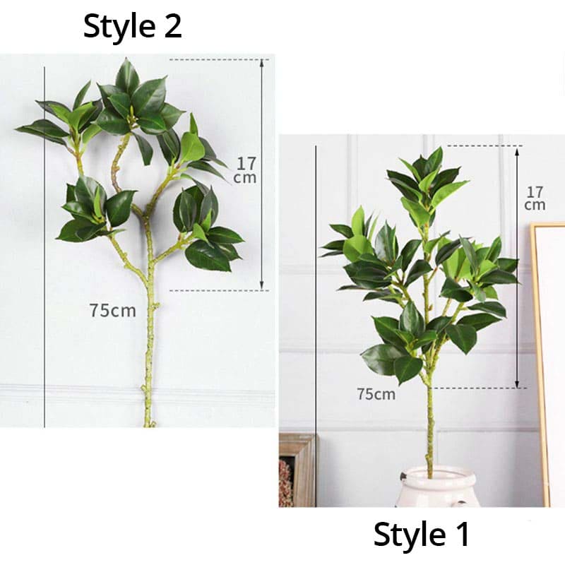 Faux Camélia Dimensions