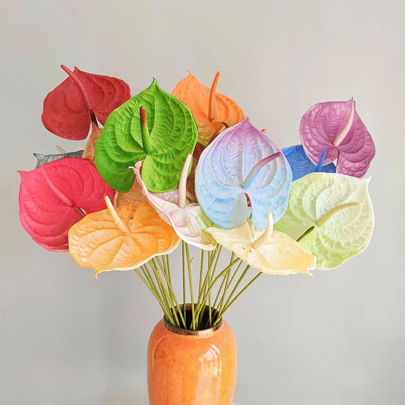 Fleur Anthurium