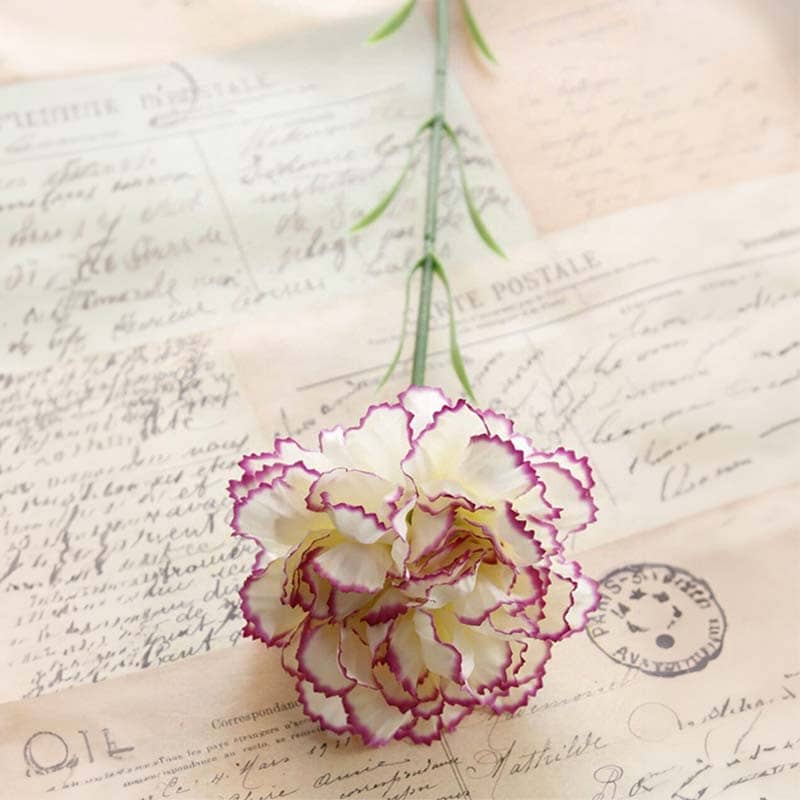 Fleur Carnation Blanc Violet