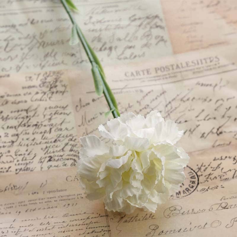 Fleur Carnation Blanc